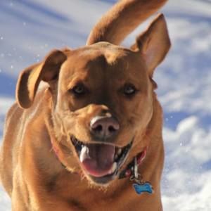 Meet your Posher, Sheila